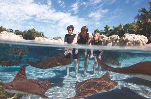 SeaWorld Aquatica_Ray Lagoon Family.jpg